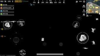 吃鸡进游戏黑屏,揭秘进游戏后的神秘现象(图3) 吃鸡进游戏黑屏,揭秘进游戏后的神秘现象(图3)