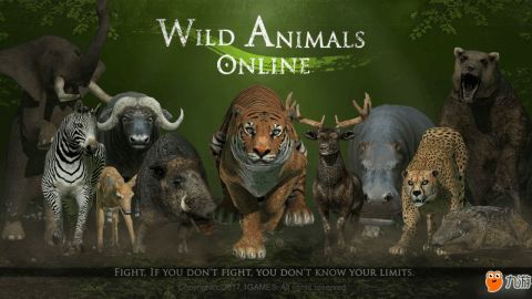 丛林法则游戏彩色字体(图1) 丛林法则游戏彩色字体(图1)