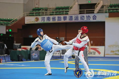全国跆拳道大赛游戏,荣耀之战(图3)