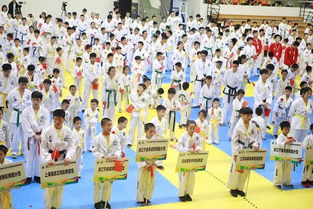 全国跆拳道大赛游戏,荣耀之战(图1)