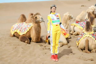 新疆玩游戏(图3) 新疆玩游戏(图3)