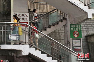 转梯子爬楼的游戏(图2) 转梯子爬楼的游戏(图2)