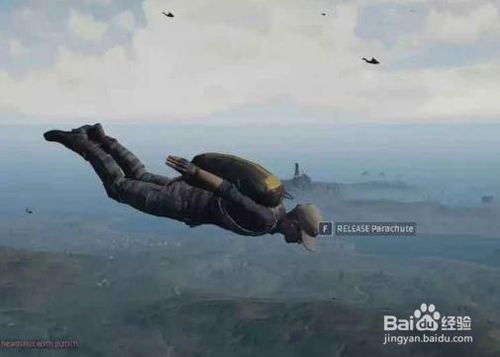 跳伞游戏需要什么配置,跳伞游戏高性能配置全解析(图3)
