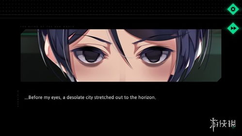 新世界游戏小说,命运交织的奇幻之旅(图1)