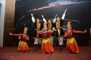 新疆舞游戏,探寻舞动指尖的民族文化魅力(图3) 新疆舞游戏,探寻舞动指尖的民族文化魅力(图3)