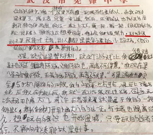 玩游戏的好处作文,提升技能、拓展视野的奇妙之旅(图1)