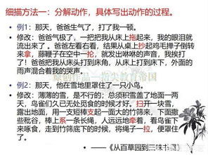 玩游戏的好处作文,提升技能、拓展视野的奇妙之旅(图2)