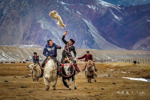 新疆的游戏(图2)