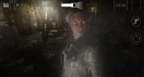 新款恐怖游戏,探索未知恐惧的极限生存之旅(图3) 新款恐怖游戏,探索未知恐惧的极限生存之旅(图3)