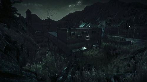 精神病院游戏视频,揭秘神秘院舍的恐怖真相(图2)