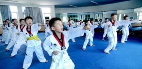 跆拳道教学游戏大全,激发孩子跆拳道兴趣(图3)