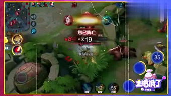 忆涵游戏解说照片,镜头下的欢乐时光(图1)