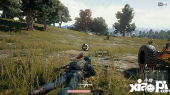 绝地求生手机版游戏(图2)