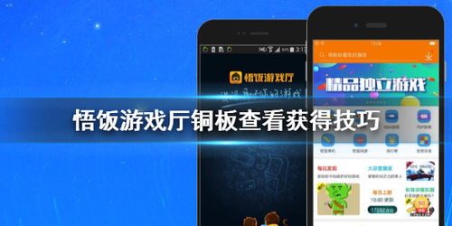 悟饭游戏厅铜板(图3)