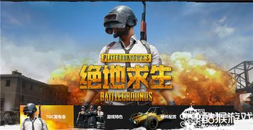 吃鸡游戏怎么收费,吃鸡游戏多元化收费模式解析(图3)