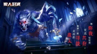 狼人游戏狼人怎么发言,狼人策略发言全攻略(图3) 狼人游戏狼人怎么发言,狼人策略发言全攻略(图3)