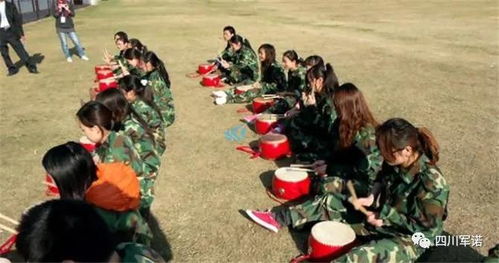 东西冲拓展公司游戏,游戏中的极限挑战与奇幻冒险(图2)