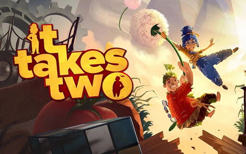 有什么双人玩的游戏,盘点那些令人难忘的双人合作游戏(图2)