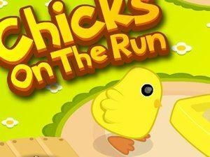 小鸡吃米手指游戏(图1) 小鸡吃米手指游戏(图1)