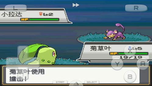 心金游戏机,畅享欢乐时光(图1) 心金游戏机,畅享欢乐时光(图1)