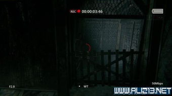 逃生游戏2攻略大全,助你轻松通关(图1) 逃生游戏2攻略大全,助你轻松通关(图1)