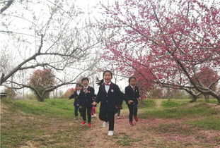 桃花桃花几朵开游戏,探寻民间传说的智慧与趣味(图2) 桃花桃花几朵开游戏,探寻民间传说的智慧与趣味(图2)