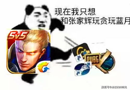 玩游戏动不了(图3) 玩游戏动不了(图3)