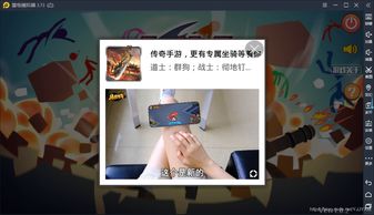 图片马赛克去除 (图2) 图片马赛克去除 (图2)